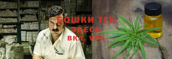 метадон Алексин