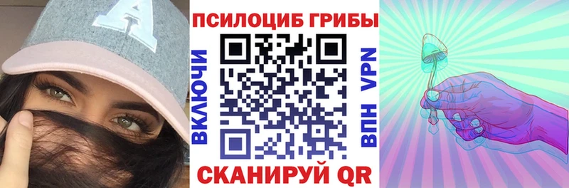 Галлюциногенные грибы Cubensis Новошахтинск